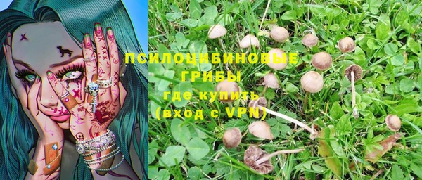 мет Нея