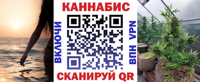Купить закладки  Кыштым  Марихуана конопля 